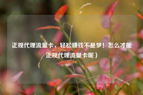 正规代理流量卡,轻松赚钱不是梦!怎么才能正规代理流量卡呢)