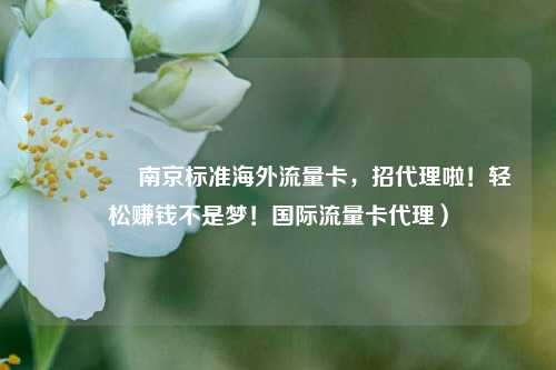 🚀南京标准海外流量卡,招代理啦!轻松赚钱不是梦!国际流量卡代理)