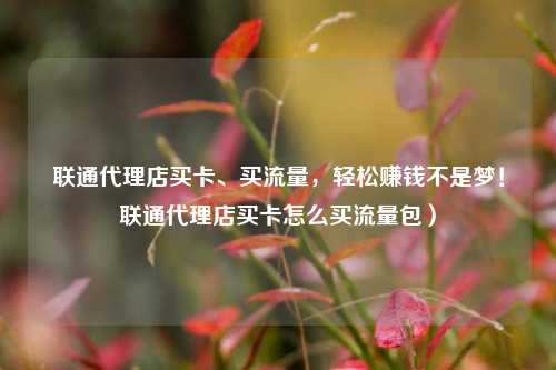 联通代理店买卡、买流量,轻松赚钱不是梦!联通代理店买卡怎么买流量包)