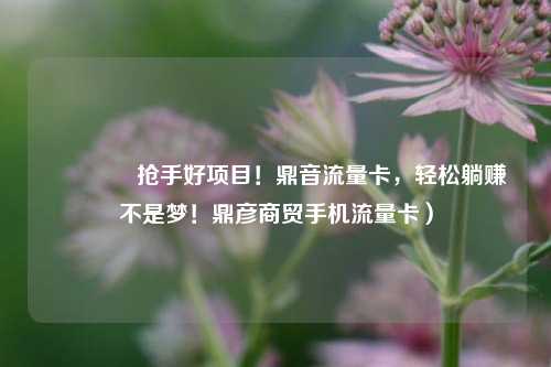 🚀抢手好项目！鼎音流量卡，轻松躺赚不是梦！鼎彦商贸手机流量卡）