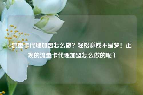 流量卡代理加盟怎么做？轻松赚钱不是梦！正规的流量卡代理加盟怎么做的呢）