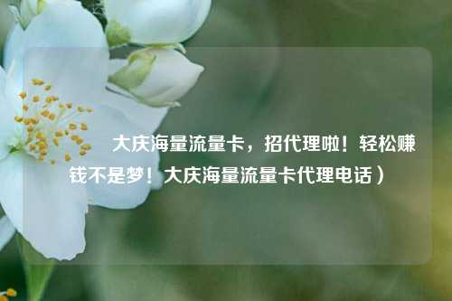 🚀大庆海量流量卡,招代理啦!轻松赚钱不是梦!大庆海量流量卡代理电话)