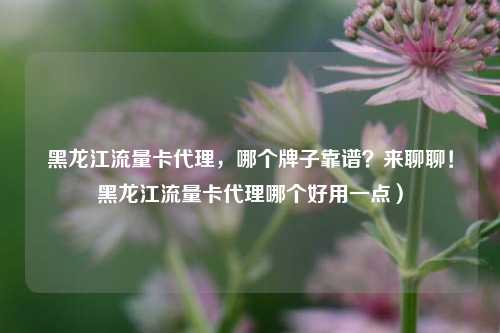 黑龙江流量卡代理,哪个牌子靠谱?来聊聊!黑龙江流量卡代理哪个好用一点)