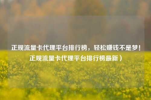正规流量卡代理平台排行榜,轻松赚钱不是梦!正规流量卡代理平台排行榜最新)