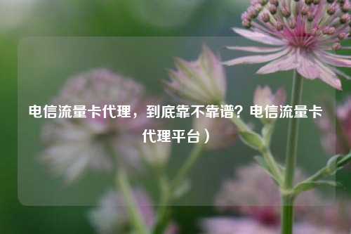 电信流量卡代理,到底靠不靠谱?电信流量卡代理平台)