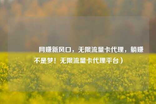 🚀网赚新风口,无限流量卡代理,躺赚不是梦!无限流量卡代理平台)