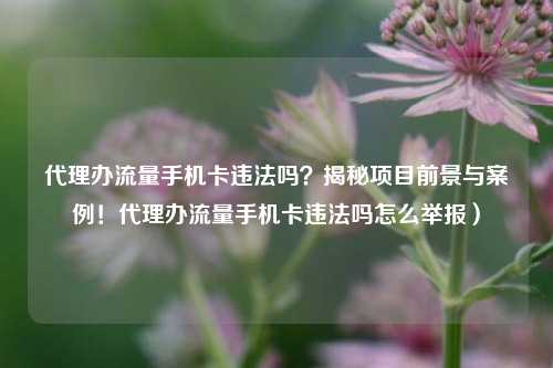 代理办流量手机卡违法吗?揭秘项目前景与案例!代理办流量手机卡违法吗怎么举报)