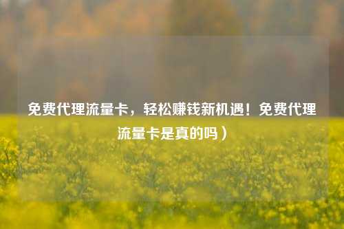 免费代理流量卡,轻松赚钱新机遇!免费代理流量卡是真的吗)
