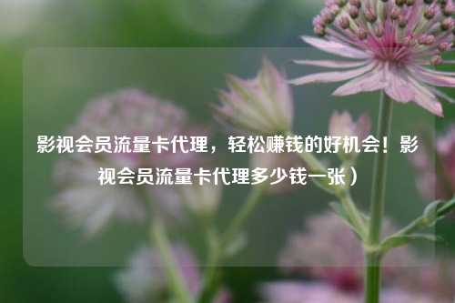 影视会员流量卡代理,轻松赚钱的好机会!影视会员流量卡代理多少钱一张)