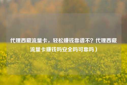 代理西藏流量卡，轻松赚钱靠谱不？代理西藏流量卡赚钱吗安全吗可靠吗）