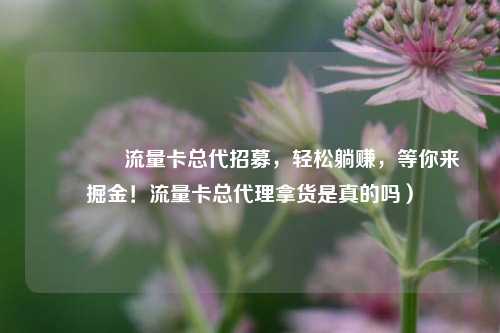 🚀流量卡总代招募，轻松躺赚，等你来掘金！流量卡总代理拿货是真的吗）