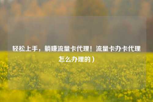 轻松上手,躺赚流量卡代理!流量卡办卡代理怎么办理的)