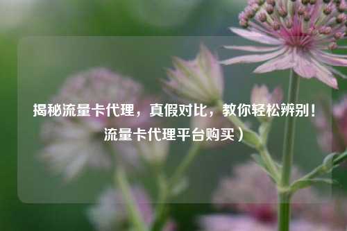 揭秘流量卡代理,真假对比,教你轻松辨别!流量卡代理平台购买)