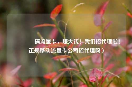 🚀搞流量卡,赚大钱!我们招代理啦!正规移动流量卡公司招代理吗)