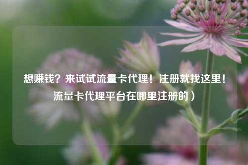 想赚钱?来试试流量卡代理!注册就找这里!流量卡代理平台在哪里注册的)