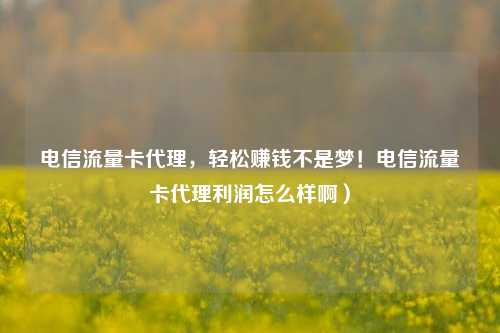 电信流量卡代理,轻松赚钱不是梦!电信流量卡代理利润怎么样啊)