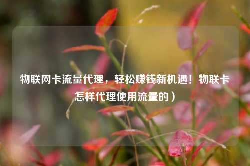 物联网卡流量代理，轻松赚钱新机遇！物联卡怎样代理使用流量的）