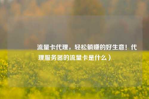 🚀流量卡代理,轻松躺赚的好生意!代理服务器的流量卡是什么)