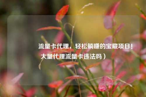 🚀流量卡代理，轻松躺赚的宝藏项目！大量代理流量卡违法吗）