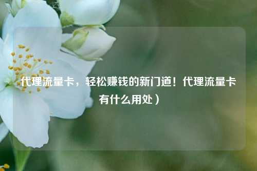 代理流量卡,轻松赚钱的新门道!代理流量卡有什么用处)