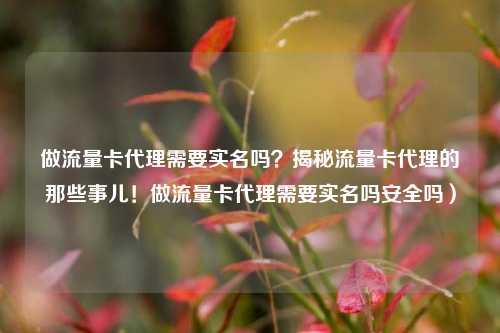 做流量卡代理需要实名吗?揭秘流量卡代理的那些事儿!做流量卡代理需要实名吗安全吗)