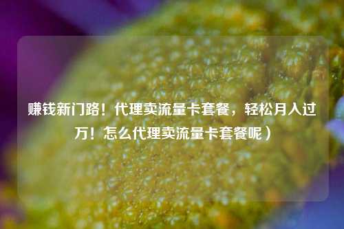 赚钱新门路！代理卖流量卡套餐，轻松月入过万！怎么代理卖流量卡套餐呢）