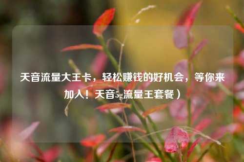 天音流量大王卡,轻松赚钱的好机会,等你来加入!天音5g流量王套餐)