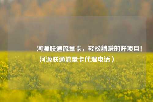 🚀河源联通流量卡,轻松躺赚的好项目!河源联通流量卡代理电话)