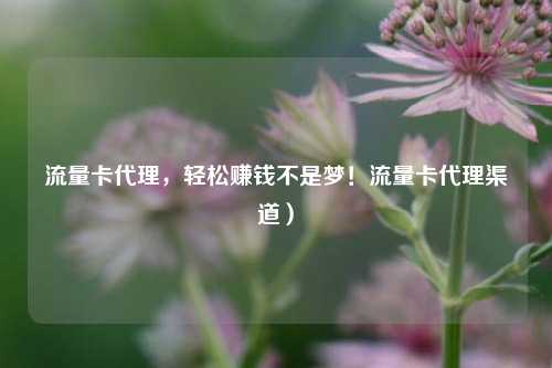 流量卡代理,轻松赚钱不是梦!流量卡代理渠道)