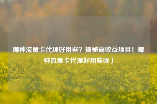 哪种流量卡代理好用些？揭秘高收益项目！哪种流量卡代理好用些呢）