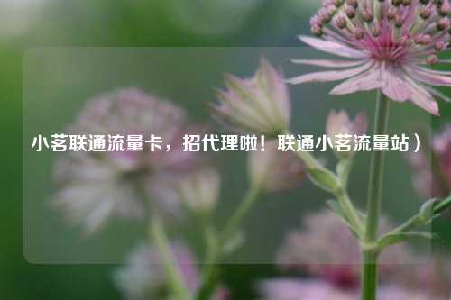 小茗联通流量卡，招代理啦！联通小茗流量站）