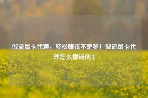 做流量卡代理,轻松赚钱不是梦!做流量卡代理怎么赚钱的)
