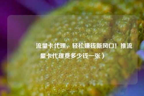 🚀流量卡代理，轻松赚钱新风口！推流量卡代理费多少钱一张）