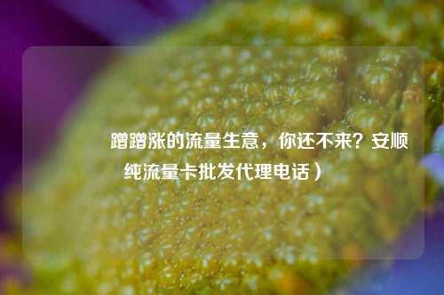 🚀蹭蹭涨的流量生意，你还不来？安顺纯流量卡批发代理电话）