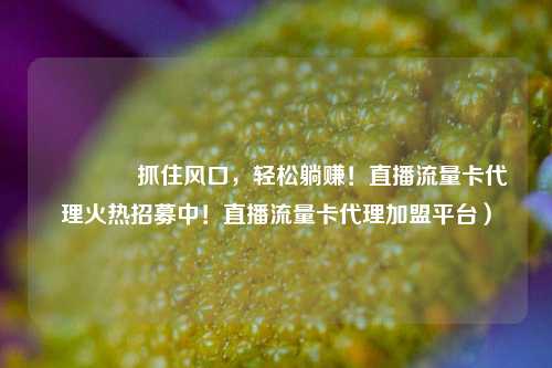🚀抓住风口,轻松躺赚!直播流量卡代理火热招募中!直播流量卡代理加盟平台)