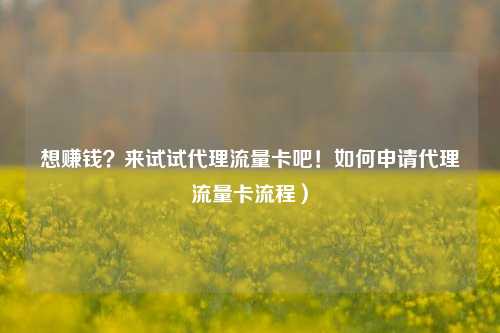 想赚钱?来试试代理流量卡吧!如何申请代理流量卡流程)