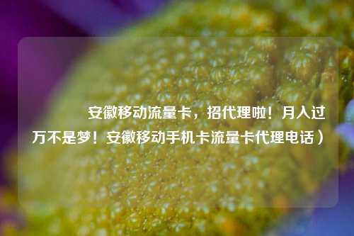 🚀安徽移动流量卡,招代理啦!月入过万不是梦!安徽移动手机卡流量卡代理电话)