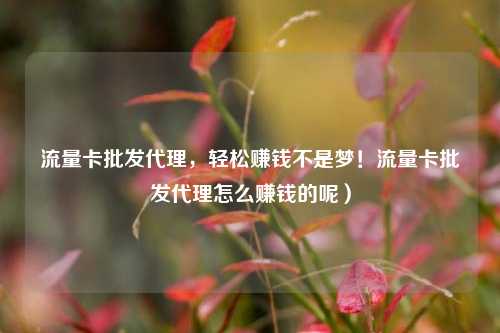 流量卡批发代理，轻松赚钱不是梦！流量卡批发代理怎么赚钱的呢）