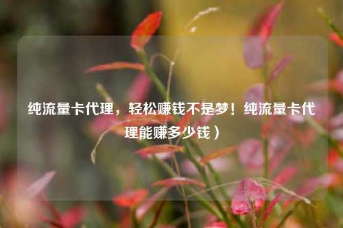 纯流量卡代理,轻松赚钱不是梦!纯流量卡代理能赚多少钱)