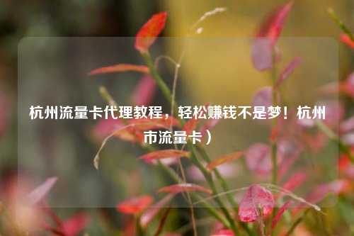 杭州流量卡代理教程，轻松赚钱不是梦！杭州市流量卡）