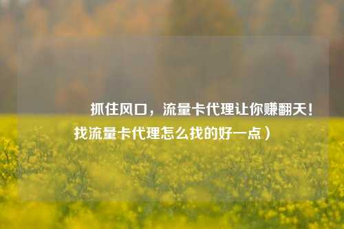 🚀抓住风口,流量卡代理让你赚翻天!找流量卡代理怎么找的好一点)