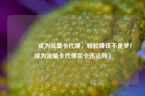 🚀成为流量卡代理,轻松赚钱不是梦!成为流量卡代理卖卡违法吗)