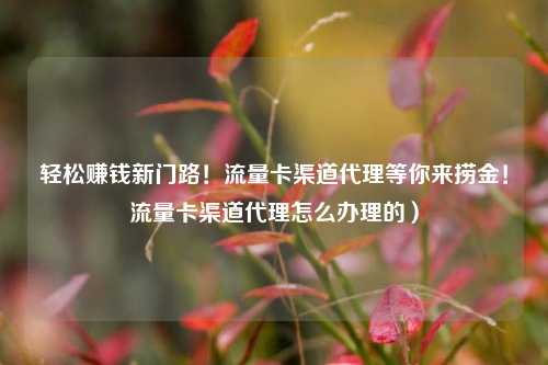 轻松赚钱新门路!流量卡渠道代理等你来捞金!流量卡渠道代理怎么办理的)