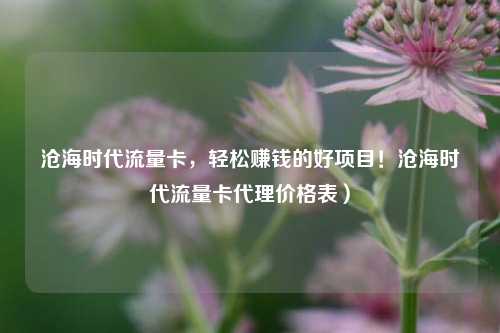 沧海时代流量卡,轻松赚钱的好项目!沧海时代流量卡代理价格表)