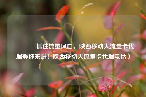 🚀抓住流量风口，陕西移动大流量卡代理等你来赚！陕西移动大流量卡代理电话）