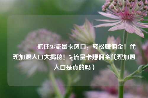 🚀抓住5G流量卡风口,轻松赚佣金!代理加盟入口大揭秘!5g流量卡赚佣金代理加盟入口是真的吗)