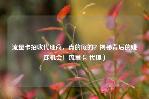 流量卡招收代理商,真的假的?揭秘背后的赚钱机会!流量卡 代理)