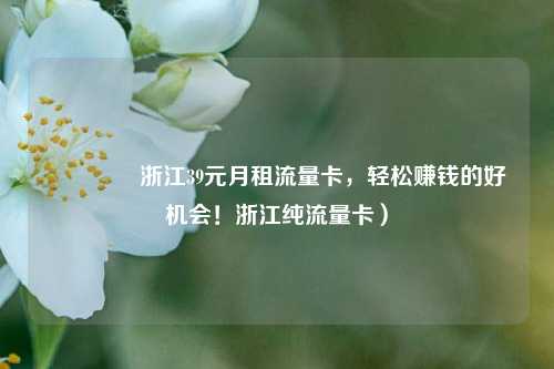 🚀浙江39元月租流量卡,轻松赚钱的好机会!浙江纯流量卡)