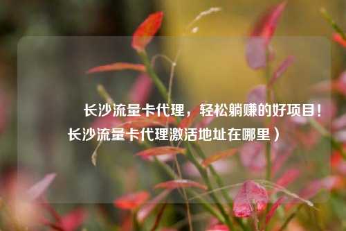 🚀长沙流量卡代理,轻松躺赚的好项目!长沙流量卡代理激活地址在哪里)
