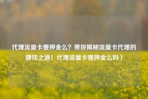 代理流量卡要押金么?带你揭秘流量卡代理的赚钱之道!代理流量卡要押金么吗)